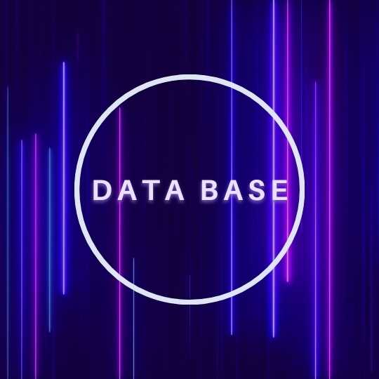 מאגרי מידע Data Base
